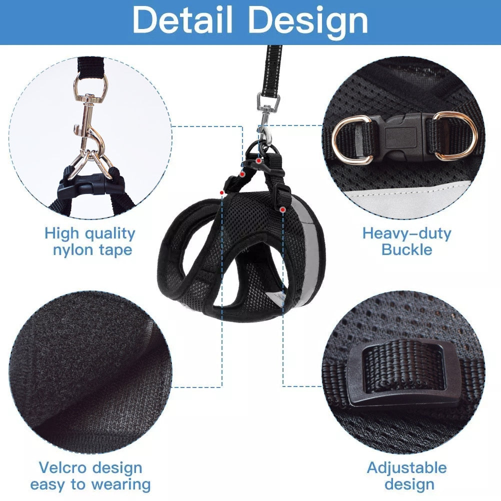 Greens Pet Harness Leash