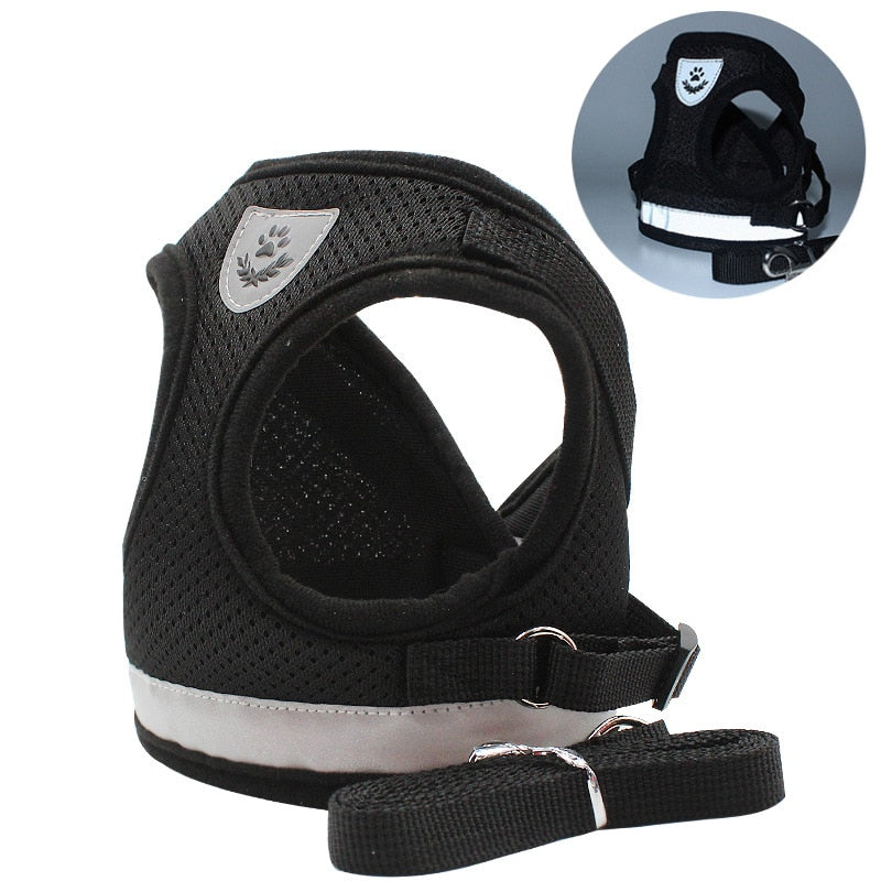 Greens Pet Harness Leash