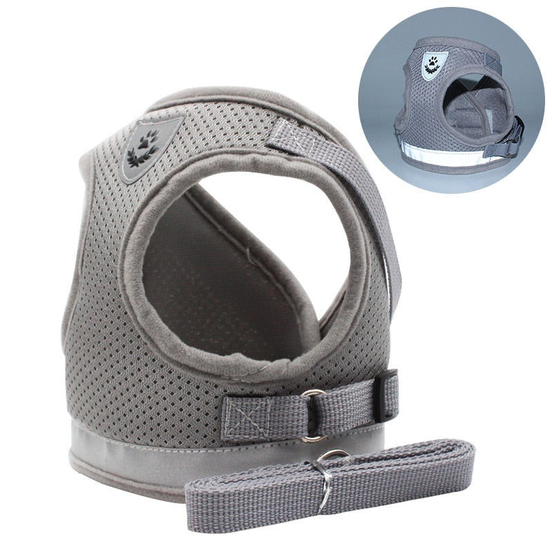 Greens Pet Harness Leash