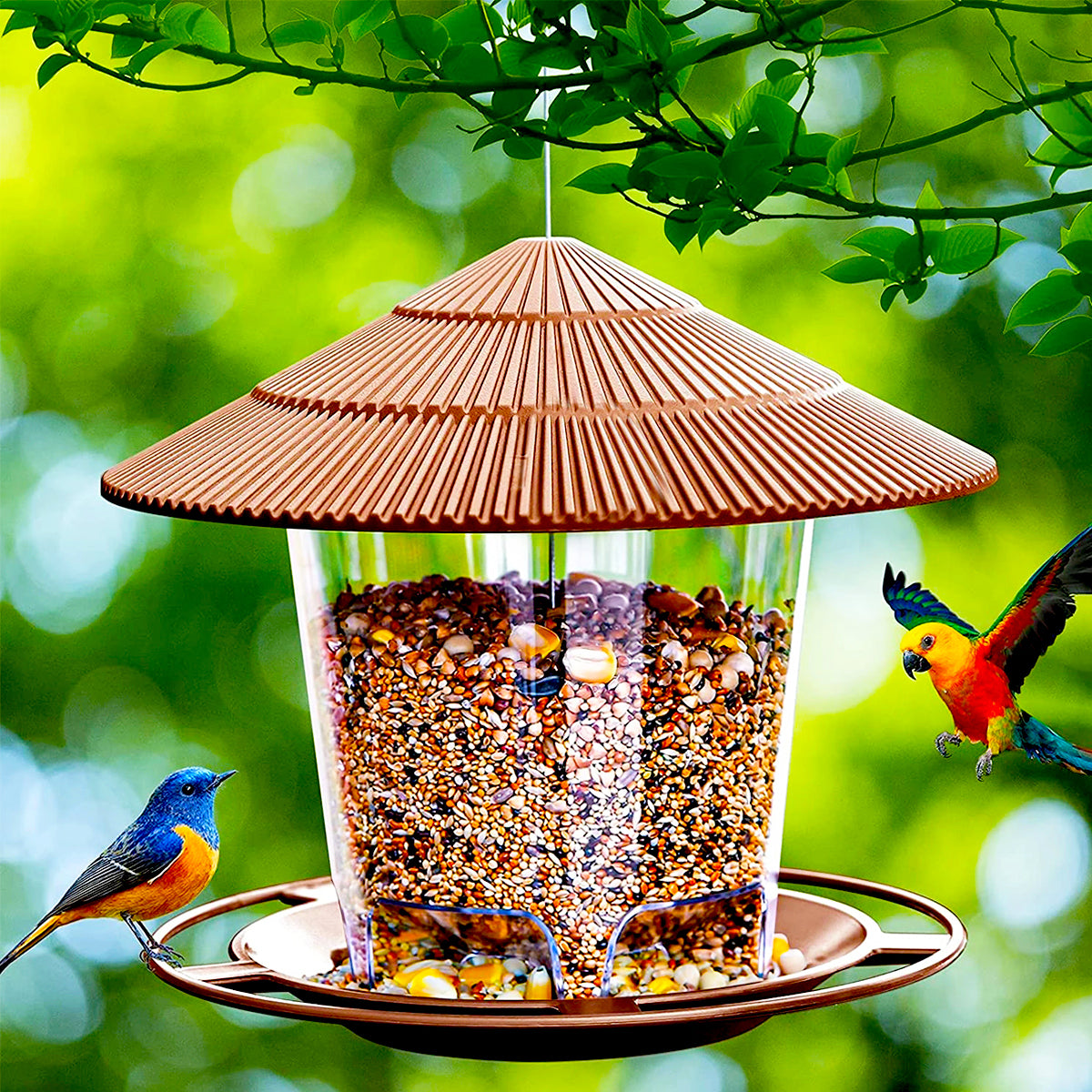 Beautiful view of Large Enclosed Bird Living Spaces For Retail