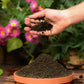 Organic Worm Castings Compost (5 lb bag)