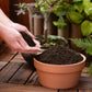 Organic Worm Castings Compost (1 lb Bag)