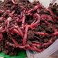 Nature's Dream Ranch Red Wiggler Live Worms, Composting Worms for Vermiculture/Composting