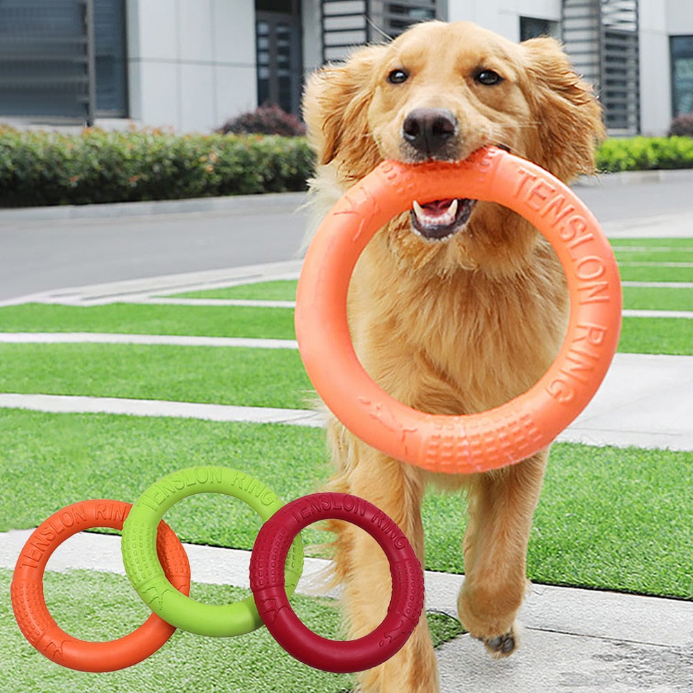 Greens Flying Disc Ring Toy