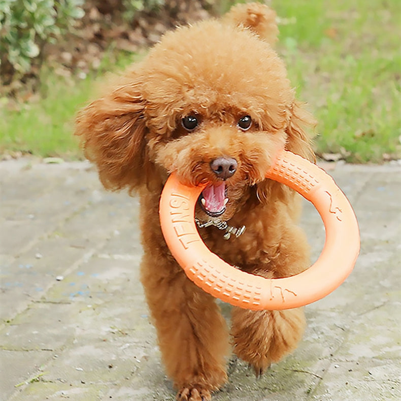 Greens Flying Disc Ring Toy