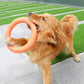 Greens Flying Disc Ring Toy