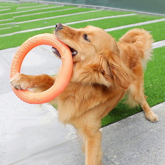 Greens Flying Disc Ring Toy