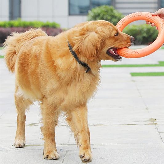 Greens Flying Disc Ring Toy
