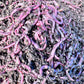 250 Count Red Wiggler Worms
