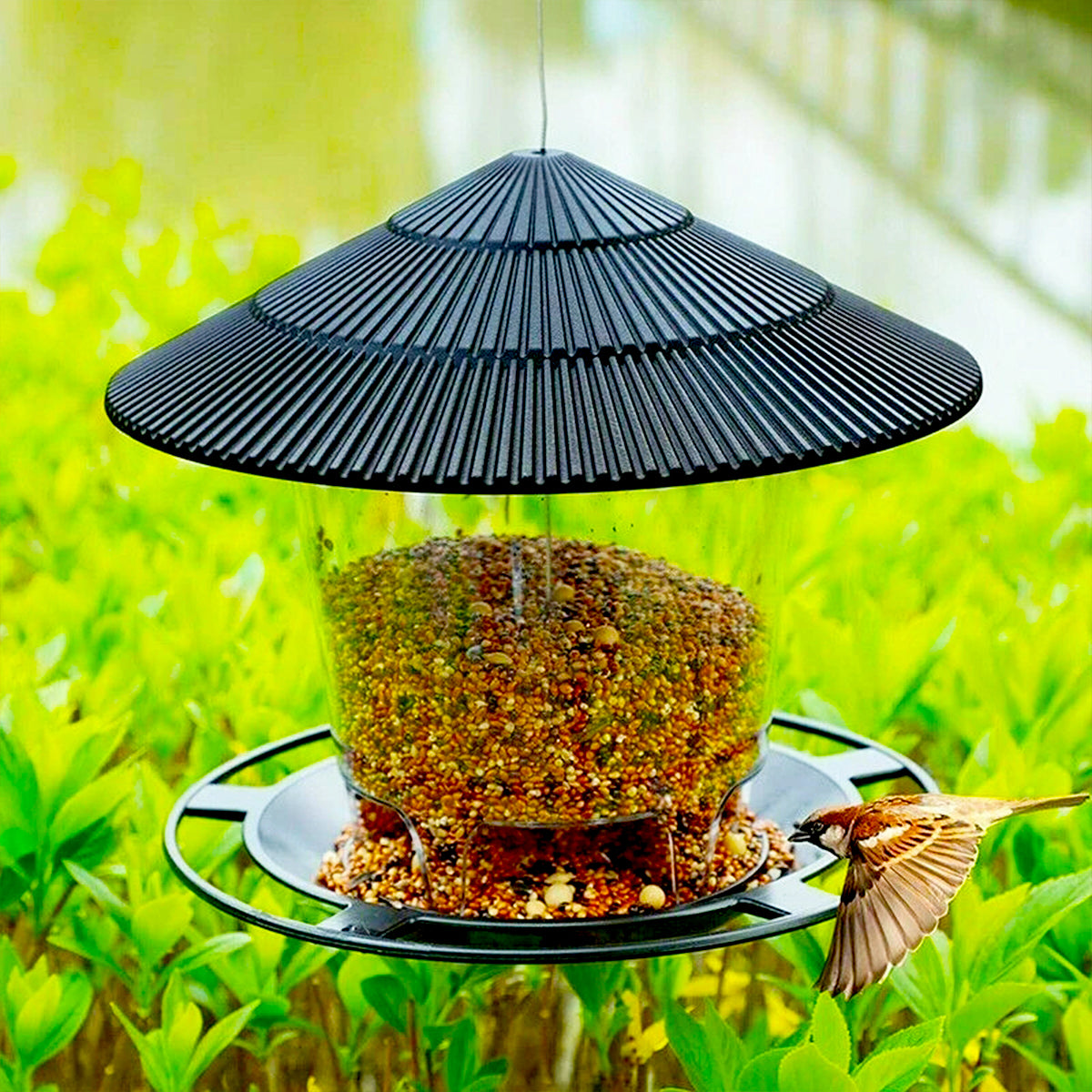 Elements Enclosed Bird Feeder