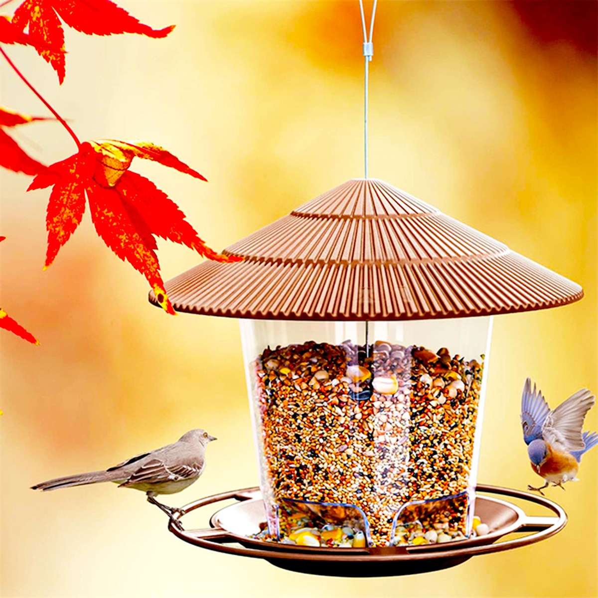 Elements Enclosed Bird Feeder
