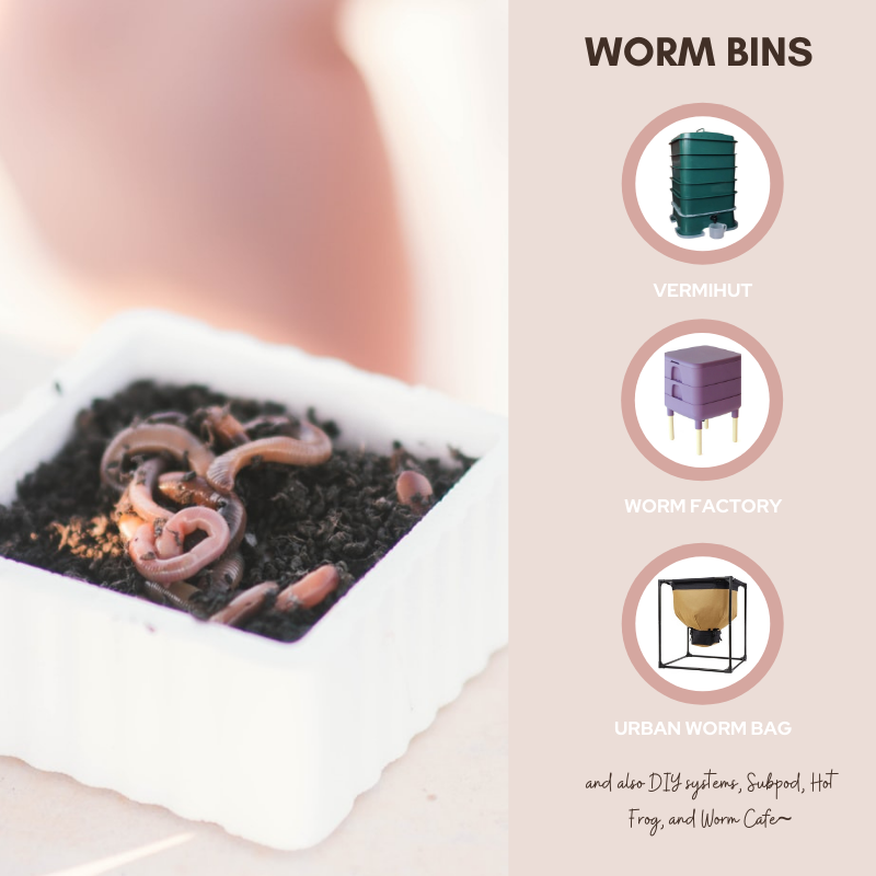 250 Count Red Wiggler Worms